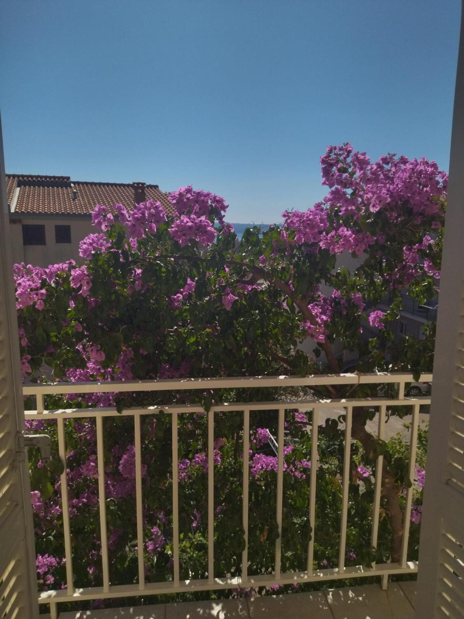 Apartmani Makarska Eksteriør billede